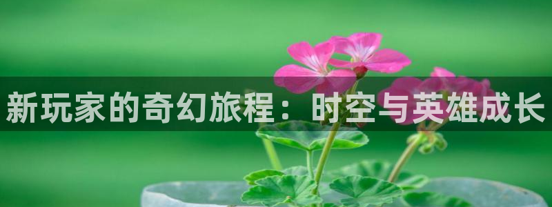 沐鸣2app：新玩家的奇幻旅程：时空与英雄成长