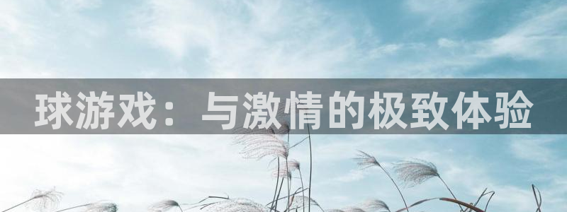 沐鸣2平台官方网站