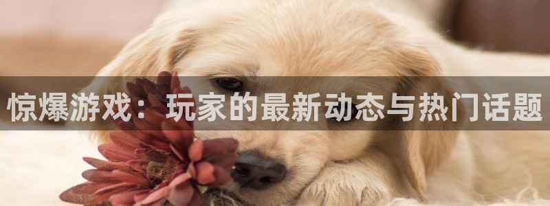 沐鸣2网页版：惊爆游戏：玩家的最新动态与热门话题