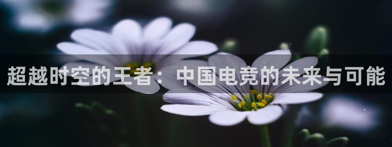 沐鸣2测速登录：超越时空的王者：中国电竞的未来与可能