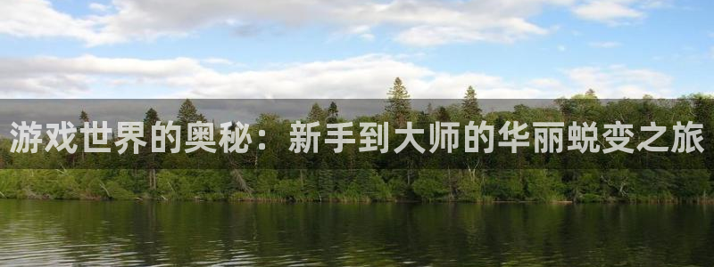 沐鸣2代理注册：游戏世界的奥秘：新手到大师的华丽蜕变之旅