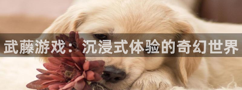 沐鸣2登录官网：武藤游戏：沉浸式体验的奇幻世界
