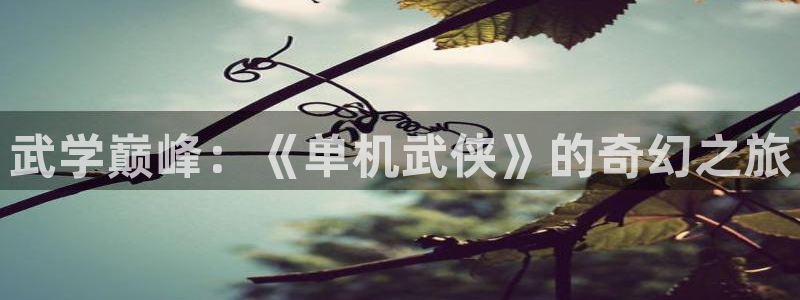 沐鸣2注册登录下载：武学巅峰：《单机武侠》的奇幻之旅