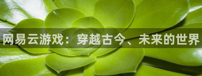 沐鸣2登录优先渠道