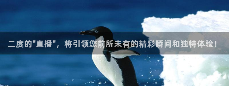 绿茵体育比赛直播