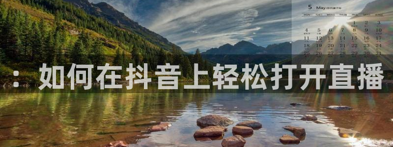 足球之绿茵球王
