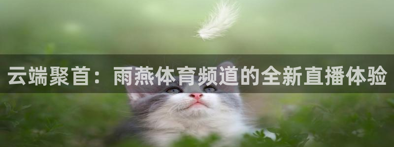 nba免费直播在线直播绿茵