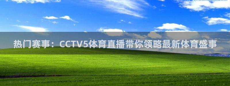 绿茵直播官网