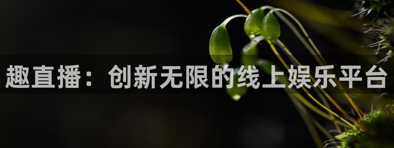 绿茵体育在线观看