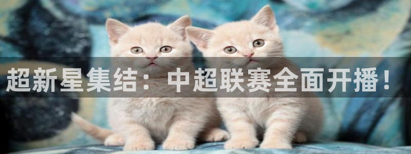 绿茵直播nba免费
