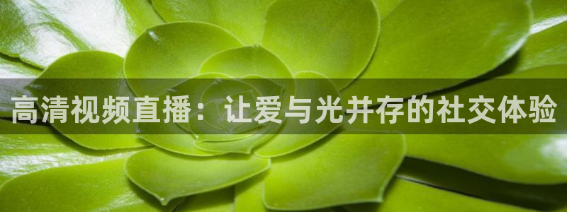 绿茵足球直播在线观看