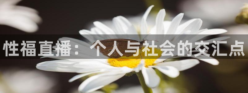 nba绿茵免费直播：性福直播：个人与社会的交汇点