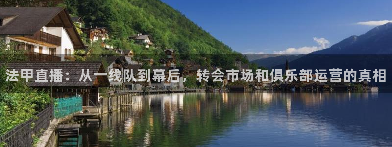 足球比赛绿茵直播：法甲直播：从一线队到幕后，转会市场和俱乐部运营的真相