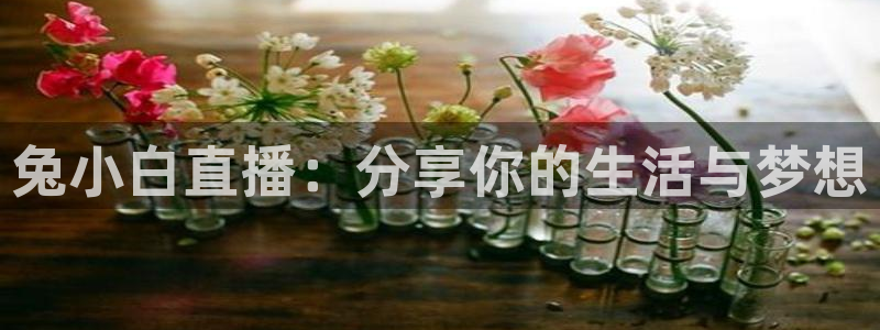 绿茵足球直播免费观看：兔小白直播：分享你的生活与梦想