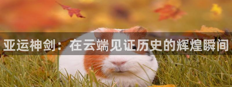 绿茵体育直播(无插件)：亚运神剑：在云端见证历史的辉煌瞬间