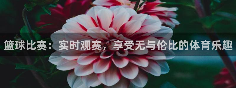 绿茵体育直播(无插件)：篮球比赛：实时观赛，享受无与伦比的体育乐趣