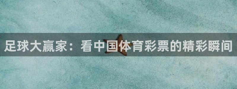 绿茵直播体育在线观看：足球大赢家：看中国体育彩票的精彩瞬间